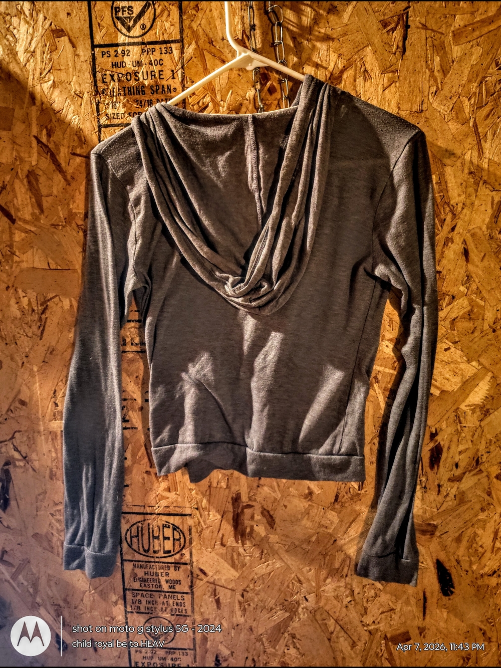 Hollister Gray Women's Hooded Long-Sleeve Pullover